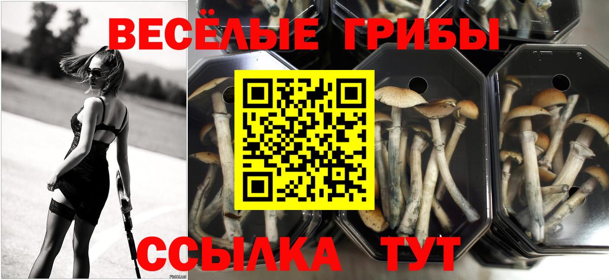 Партизанск  Галлюциногенные грибы мухоморы  Галлюциногенные грибы GOLDEN TEACHER  Вход с VPN 