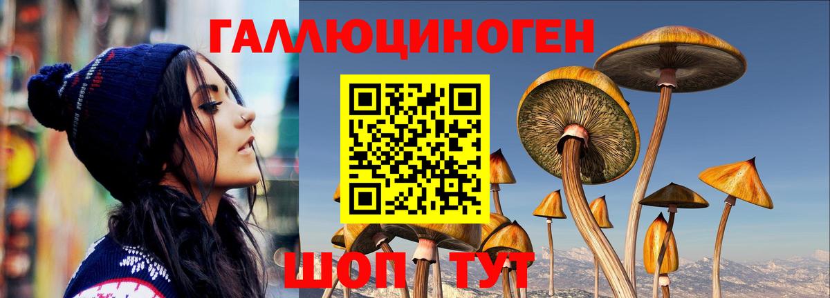Псилоцибиновые грибы Cubensis Партизанск